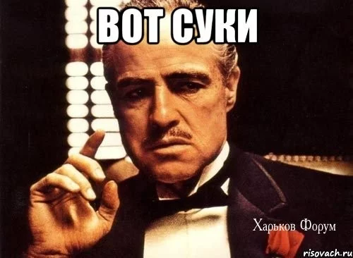 4f47df12699abf609e1a.webp