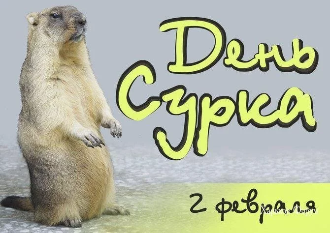 4f53c18ec2731d71659dfd41.webp