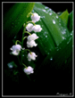 4f5abf1a936135ba39ed85649e984f8c.gif