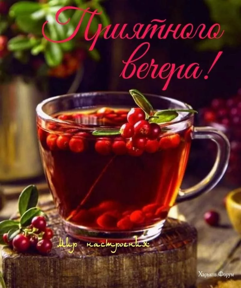4f61dd1909bdd324aa.webp