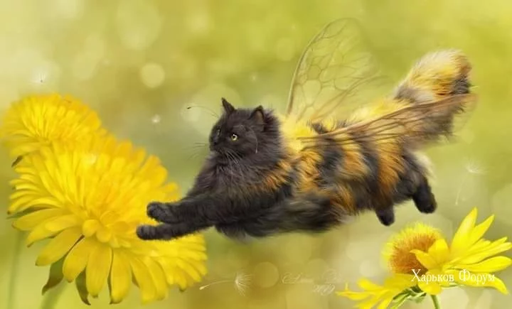 4f6b4e873600927e6737ced4.webp