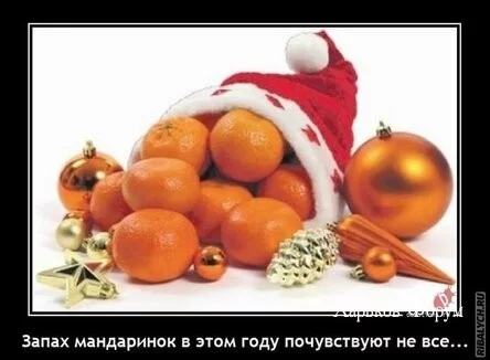 4f980b5091b81db538673b0c.webp