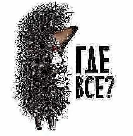 4fb727c1a161202a28b6f69e7fb19fdc6211d0c7.webp