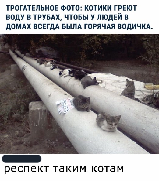 4fbajb.jpg