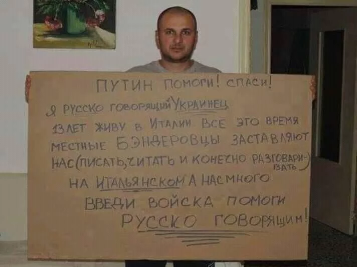 4fbdaf.webp