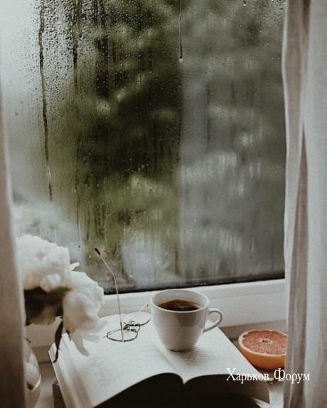 4fc2f631636ff7a3b42fae17.jpg