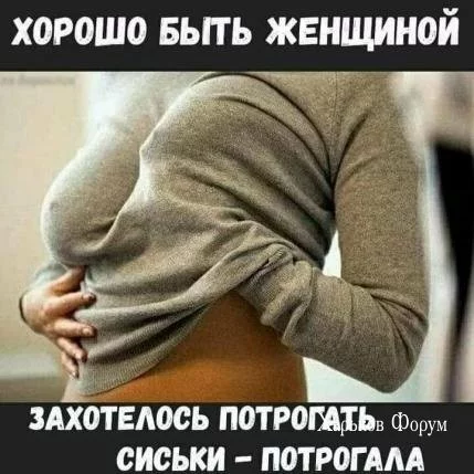 4fc87959feef16cb059b5.webp