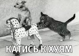 4fccee.webp