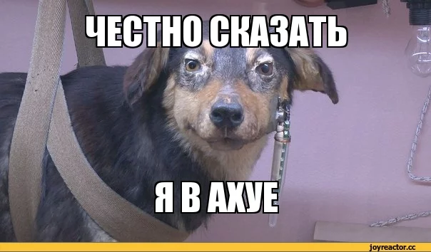 4fccff.webp