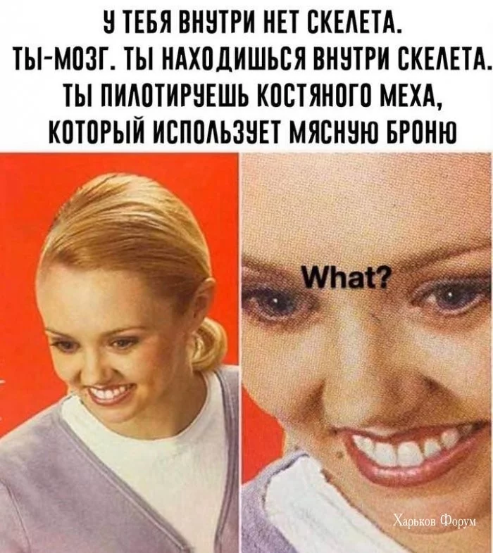 4fcee1d4017366c8.webp