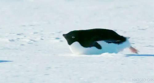 4fd754b5d669c7cf14fd615.gif