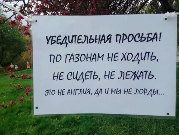 4fjdbf.webp