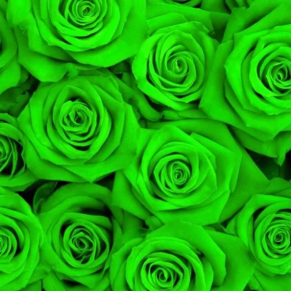 4gbfec.webp