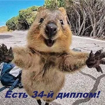 4gejcc.webp