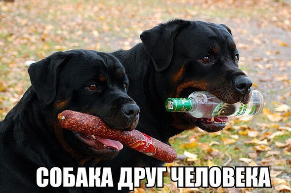 4gv-t4qGWI0.jpg