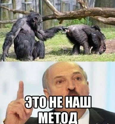 4hacgg.webp