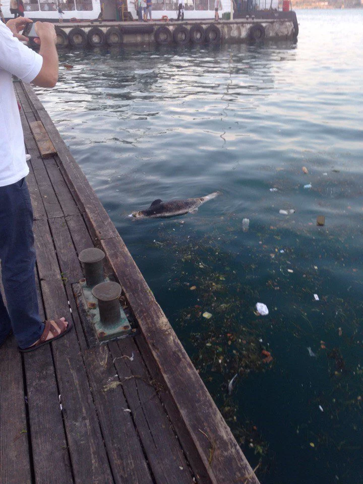 4hcghj.webp