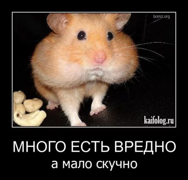 4hdbjh.webp