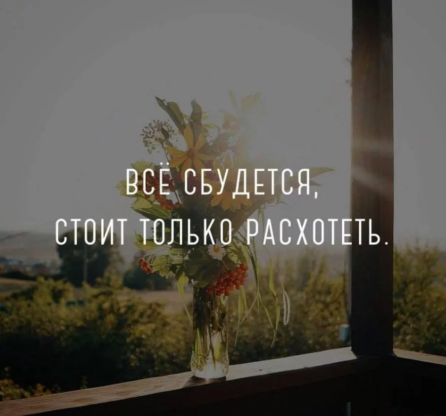 4hdjch.webp