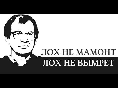 4hfhec.webp