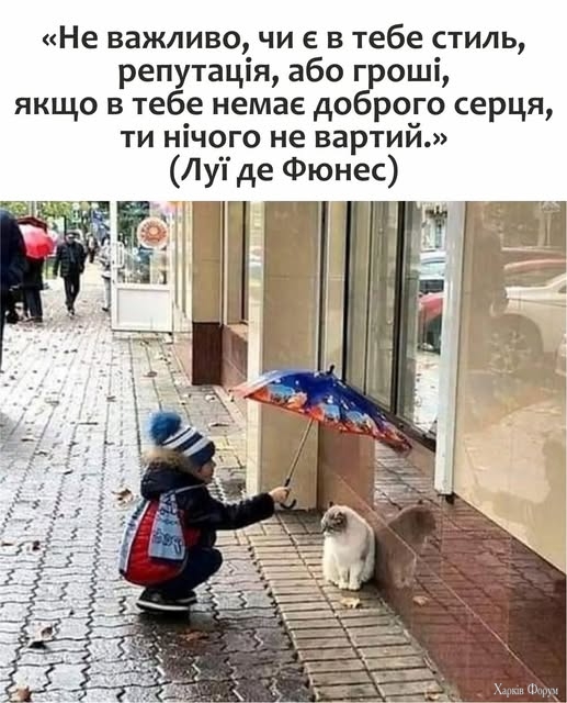 4HLCvzqb-VCwh9x8&_nc_zt=23&_nc_ht=scontent.fdnk1-4.jpg