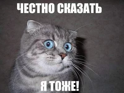 4jbdeg.webp