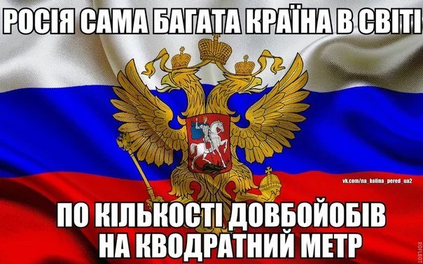 4jfhbe.webp