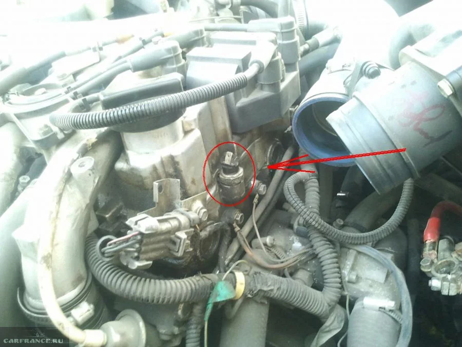 4jggfd.webp