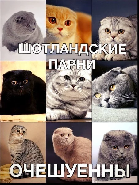 4jMMLFR9KBA.webp