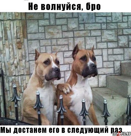 4KnEm2Ut46s.webp