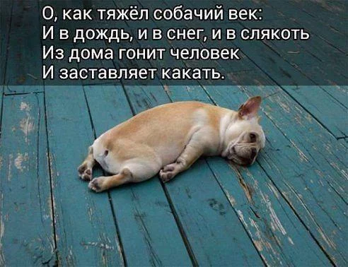 4l3iSqj_hSU.webp