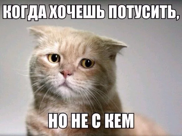 4otIOQiOFxI.webp
