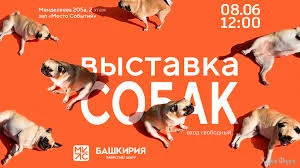 Выставка Собак – Башкирия Лайфстайл центр