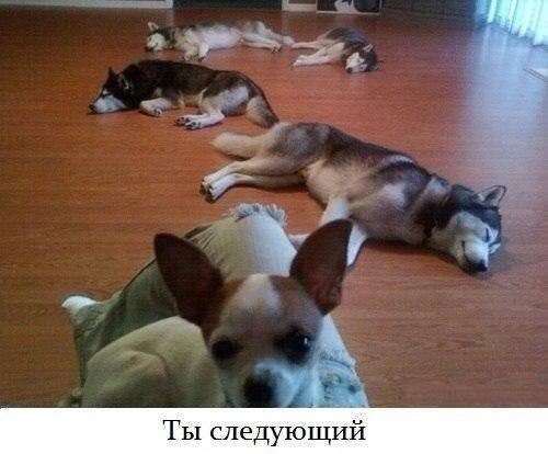 4VYX_AxkYak.jpg