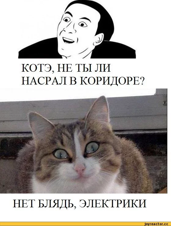 5%D1%81%D0%BE%D1%87%D0%BD%D0%B8%D1%86%D0%B0-106642.webp