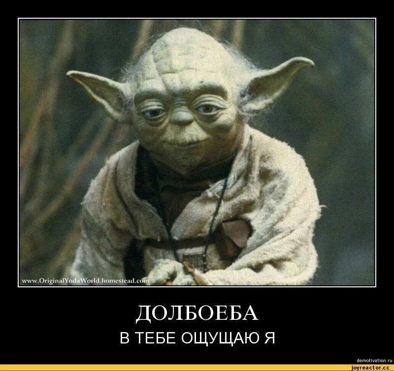 5%D1%81%D0%BE%D1%87%D0%BD%D0%B8%D1%86%D0%B0-110041.webp