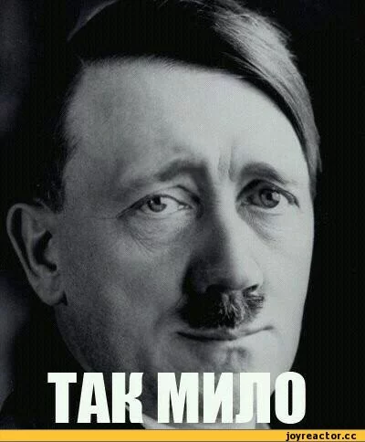 5%D1%81%D0%BE%D1%87%D0%BD%D0%B8%D1%86%D0%B0-178524.webp