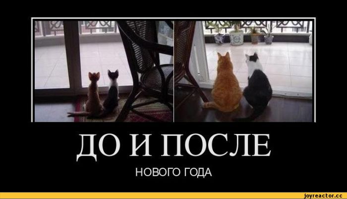 5%D1%81%D0%BE%D1%87%D0%BD%D0%B8%D1%86%D0%B0-187930.jpg