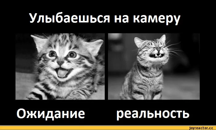 5%D1%81%D0%BE%D1%87%D0%BD%D0%B8%D1%86%D0%B0-220453.webp