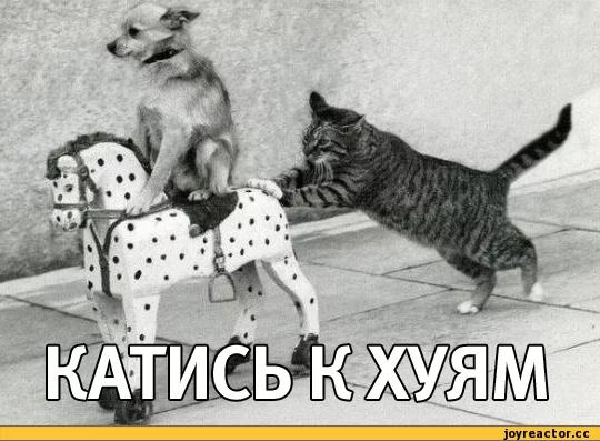 5%D1%81%D0%BE%D1%87%D0%BD%D0%B8%D1%86%D0%B0-290208.webp