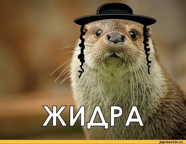 5%D1%81%D0%BE%D1%87%D0%BD%D0%B8%D1%86%D0%B0-405628.webp