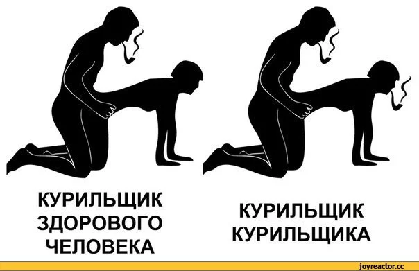 5%D1%81%D0%BE%D1%87%D0%BD%D0%B8%D1%86%D0%B0-876732.webp