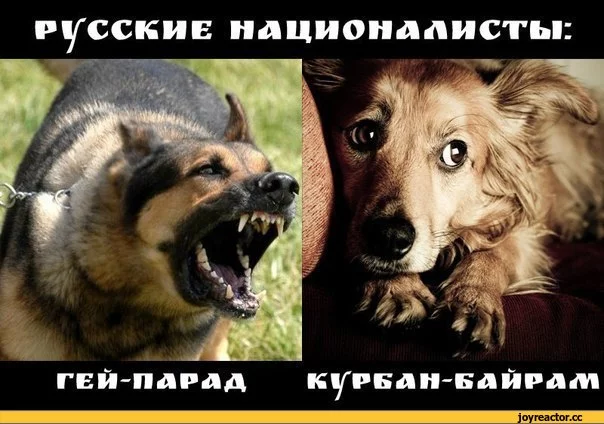 5%D1%81%D0%BE%D1%87%D0%BD%D0%B8%D1%86%D0%B0-878032.webp