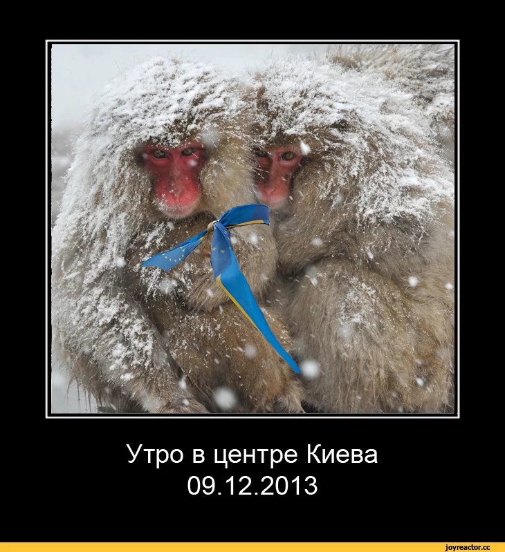 5%D1%81%D0%BE%D1%87%D0%BD%D0%B8%D1%86%D0%B0-981731.webp
