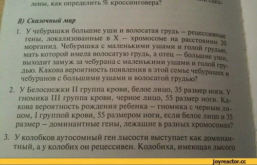 5%D1%81%D0%BE%D1%87%D0%BD%D0%B8%D1%86%D0%B0-994740.webp