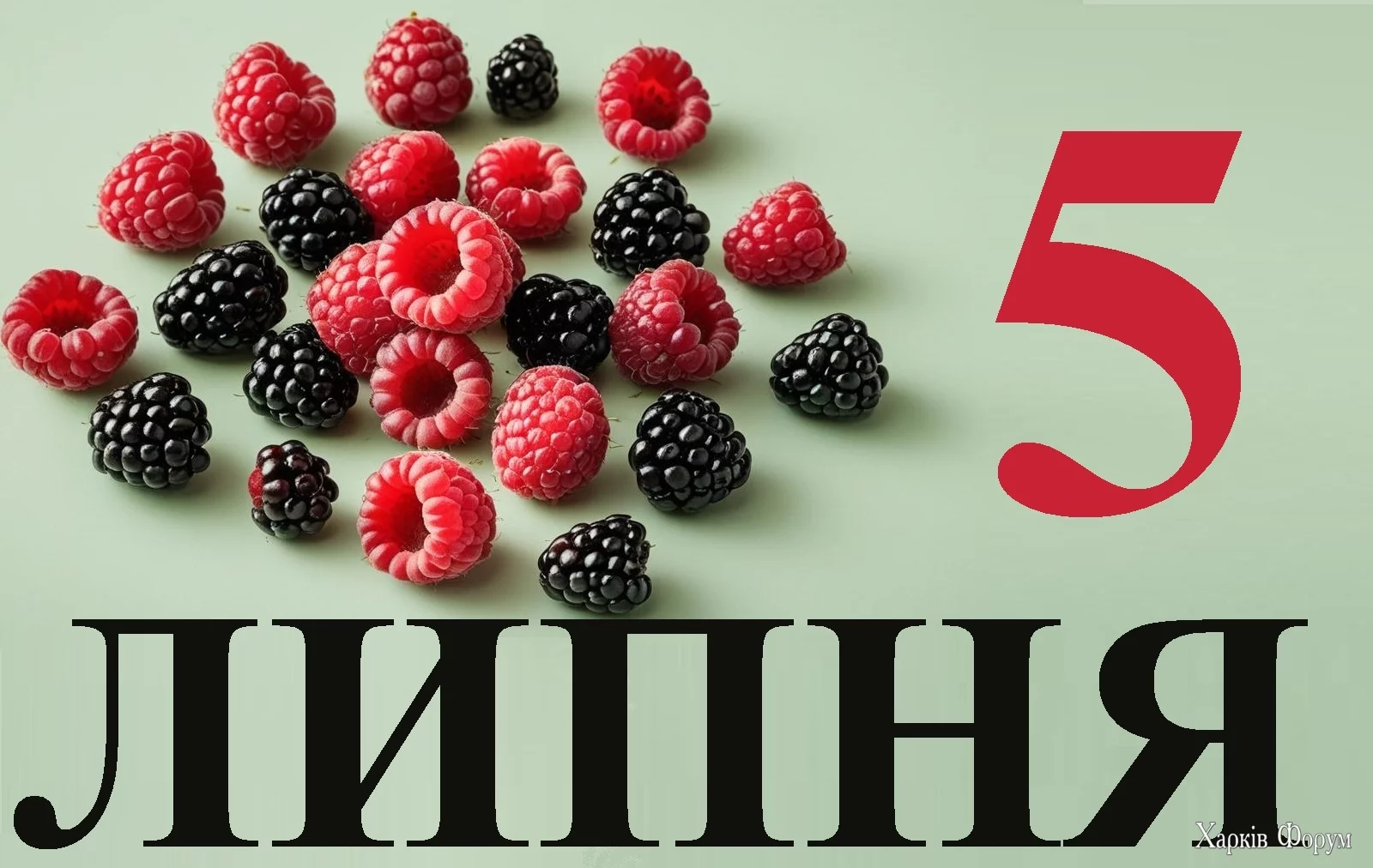 5-LIPNYA.webp