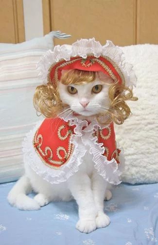5.webp
