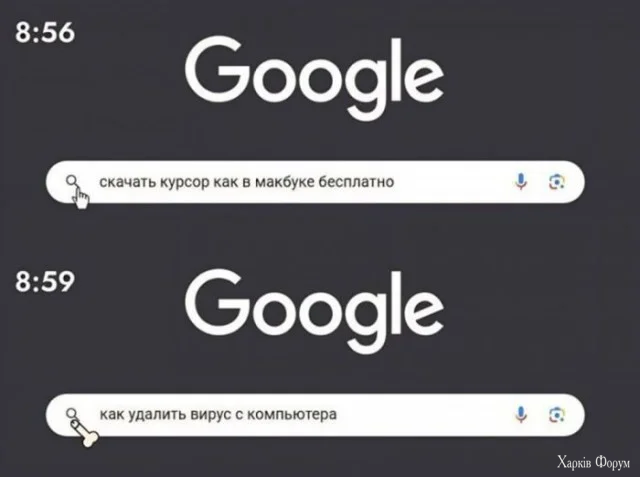 5.webp
