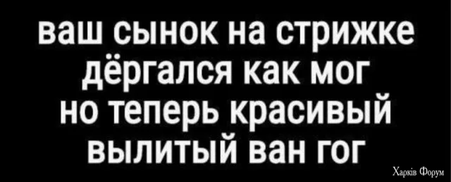 5.webp