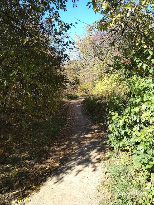 50014203b04c1bef7379.webp